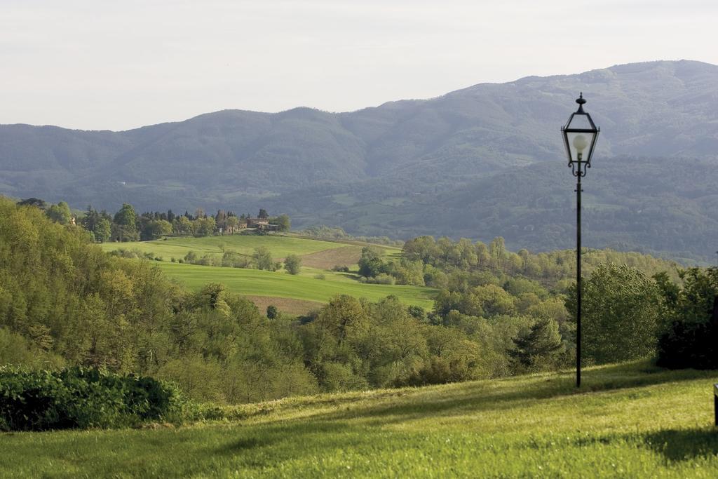 Tenuta Il Cerro Vicchio Ruang foto